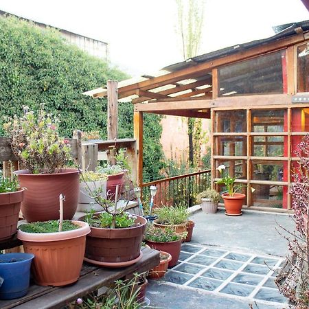Casa Panqarani Bed & Breakfast Пуно Екстериор снимка